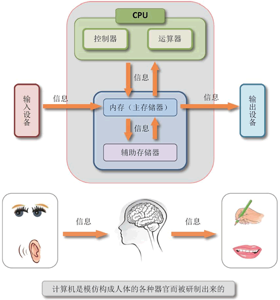 计算机体系结构
